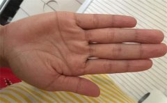 手相感情线图解，看看你的感情线是不是这样的