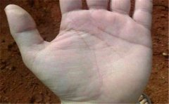 手相大师在线分析女人苦命的手相