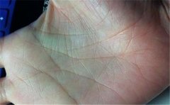 城府深的手相，有此手相之人的心眼是很多的