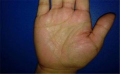 解析生命线出现上升支线的手相，运势都很不错