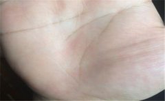 有钱手相图，有钱人的手相特征是怎样的呢