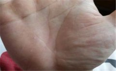 指关节手相分析理解,手相要这么看