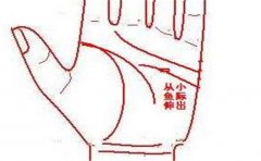 什么样的手相是长寿的手相,有什么特点