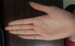 异性缘手相分析，从感情线看异性缘好不好