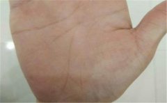 这种聪明人的手相他们学业好，是注定的状元命