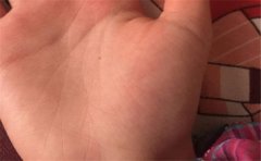 <b>测手相，财运好的手相有什么特征</b>