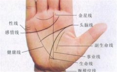 男人手相十个簸箕纹很少见，那么又有什么特征