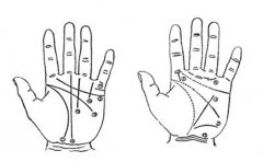 女人手背富贵窝手相解析，看看都有哪些特征