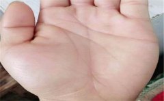 掌纹碎纹多手相分析，一起来看看是不是好手相