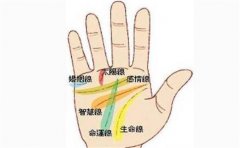 男人手相十个斗比较罕见，但是运势都很不错