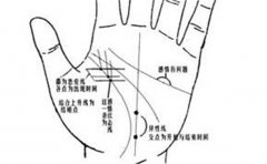 女人不差钱的手相分析，真希望自己也有如此好