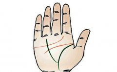 手相掌纹深的女人工作辛苦，但也有其他的好运