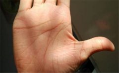 好的男人财运手相长什么样