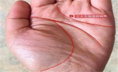 这些聪明的手相你有吗