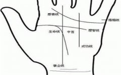 非常难罕见的富贵纹手相，你有吗