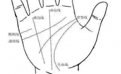 女人左手比右手多一条掌纹生命线分析