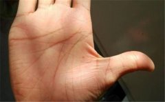 手相相人，教你通过手相去看一个人
