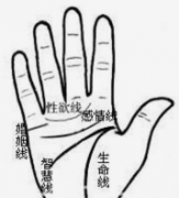 十大不吉利手相 命中的人不是破財就是身傷 倒楣至極
