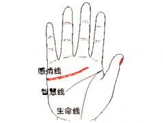 女生掌紋事業線短是不是事業也會不順 主要是這幾個因素在干擾