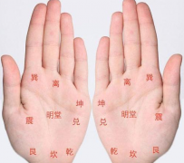 看病手掌紋應看左還是右 看病跟看運勢有什麼區別  