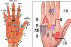 女左掌紋右下角診病 通過手掌如何斷病    