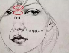 鼻子有節面相的運勢特徵