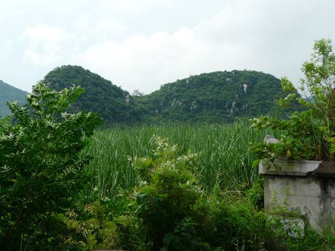 大風水 大風水電視劇