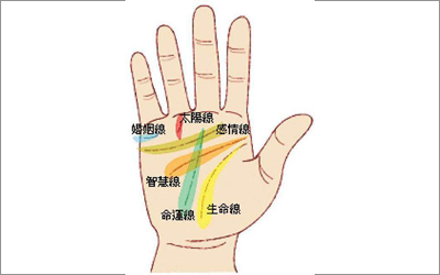 婚姻线分叉是什么意思 婚姻线分叉是什么意思图解