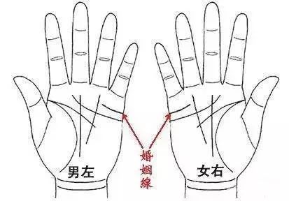 手相婚姻线分叉图解 手相婚姻线大全图解 分叉