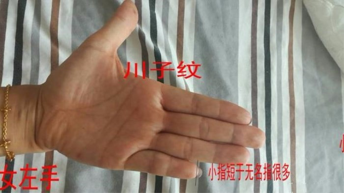 川字掌的女人财运 女人有川字纹大富大贵