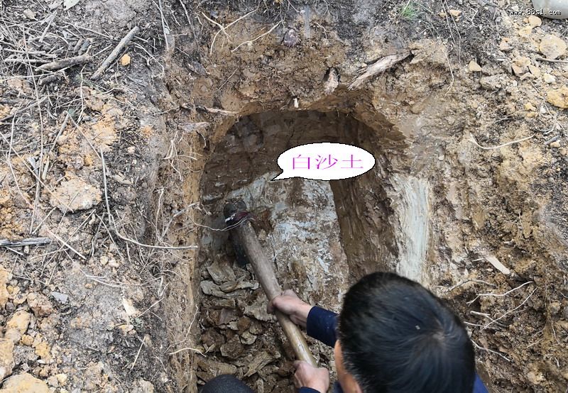 種生基厲害還是祖墳厲害 何為種生基風水,有何效用?