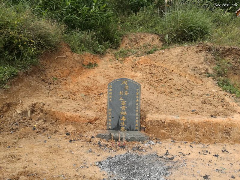 種生基對後代不好 種生基後代能升官發財嗎