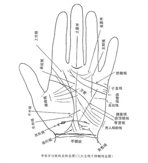 線上看手相算命免費 線上看手相算命免費軟體