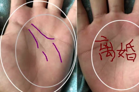 手相怎麼看圖解 手相怎麼看圖解