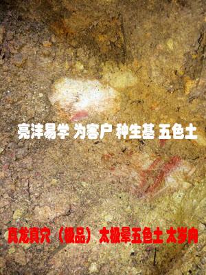 種生基改運不得善終 什麼是種生基?哪些名人用種生基改過運?