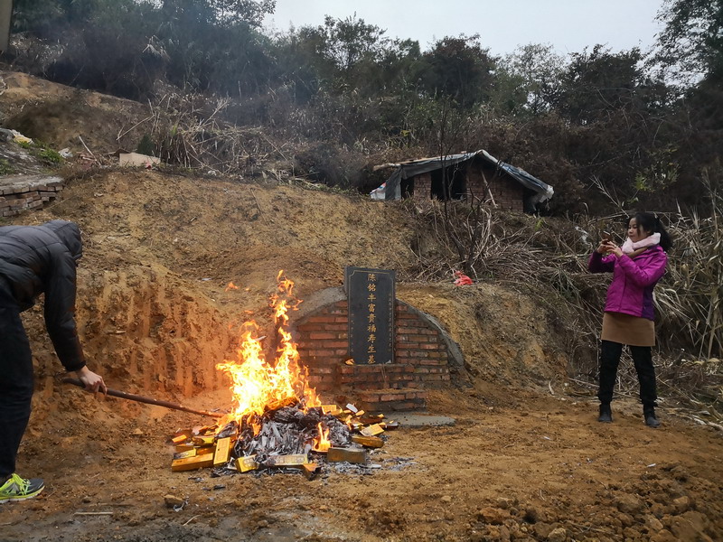 种生基改运不得善终 什么是种生基?哪些名人用种生基改过运?